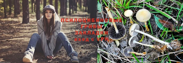 спиды Семилуки