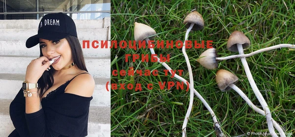 мяу мяу мука Семикаракорск