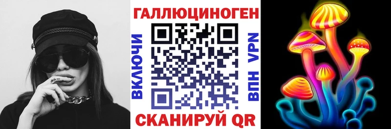 где купить   Чехов  Галлюциногенные грибы GOLDEN TEACHER 